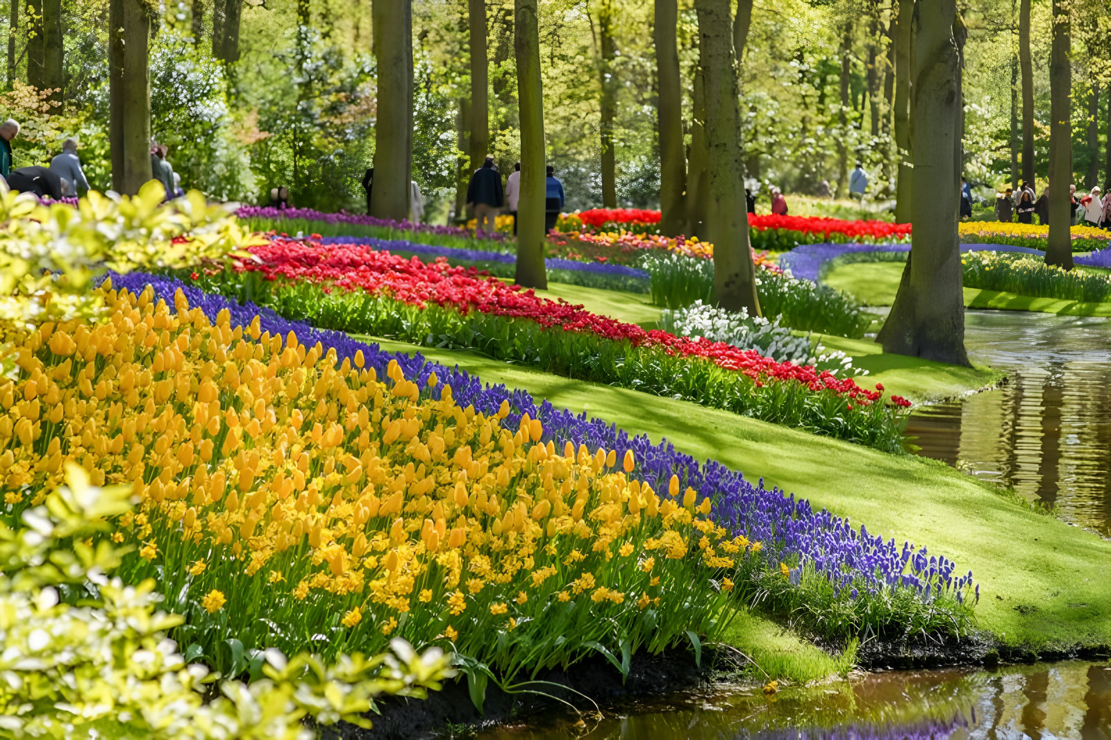 Holland Keukenhof Lale Ko‘rgazmasi + MG Designer Outlet Roermond