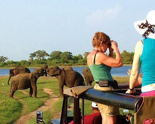 Explore the MAGIC of Sri Lanka in 7days -4 Star hotels Included