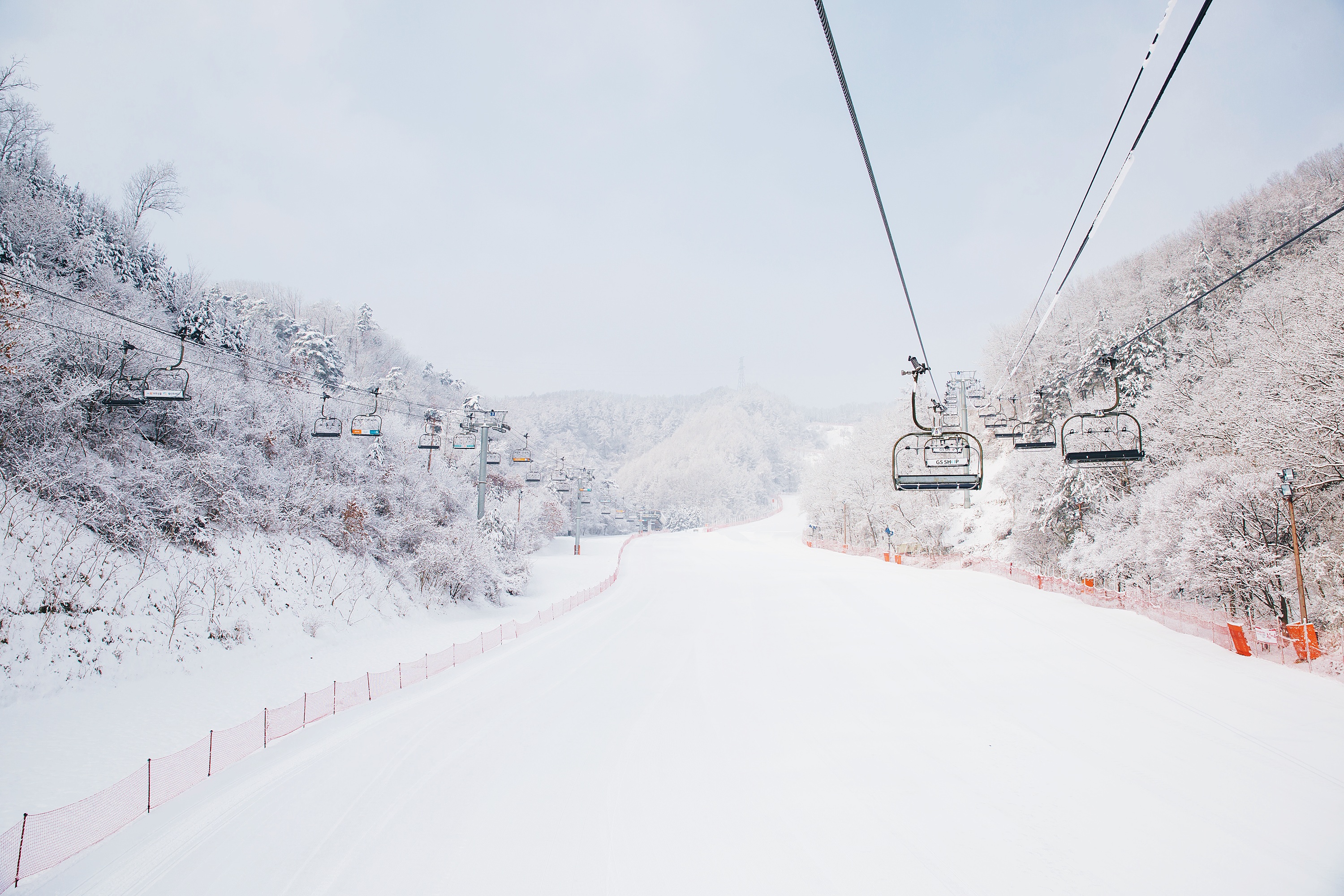 Elysian Ski Day Tour from Seoul