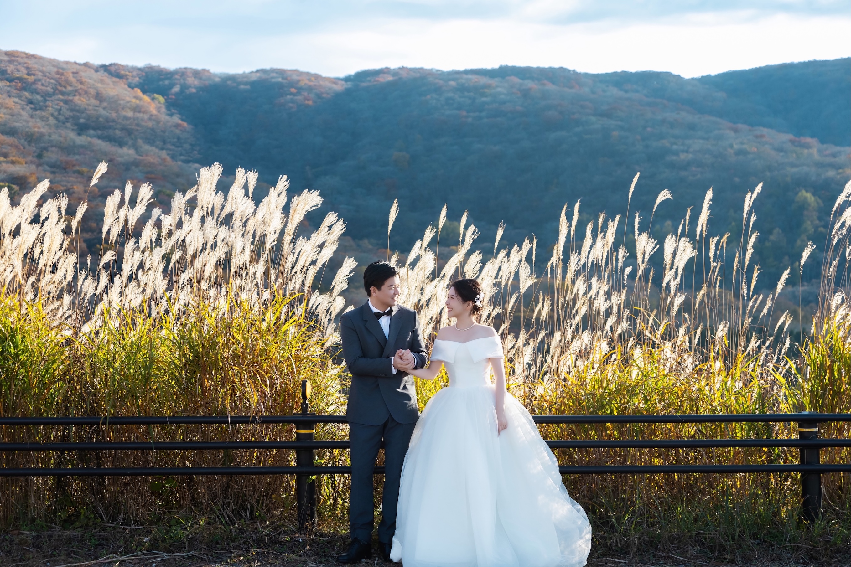 富士山與蘆葦草與公路的完美結合，留下一生最美的回憶