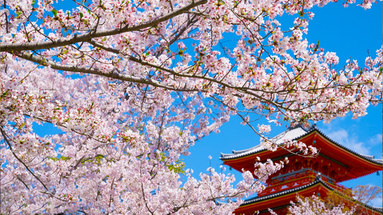 清水寺＆伏見稻荷大社＆奈良公園一日遊（大阪／京都出發）