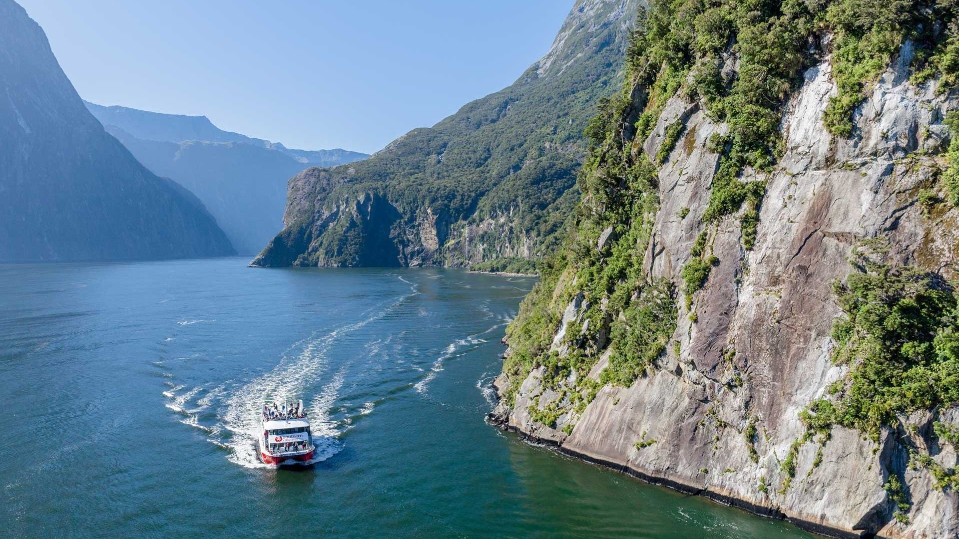 Chinese New Year Milford Sound Cruise Special Offer