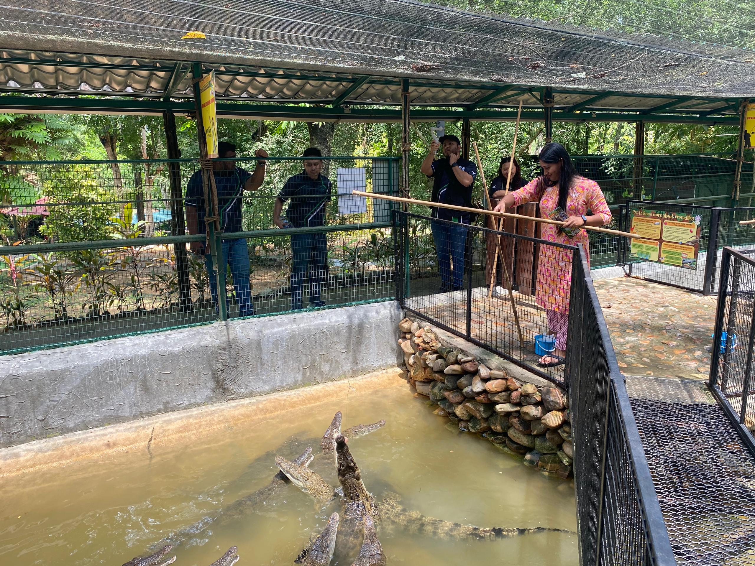 蘭卡威鱷魚公園門票