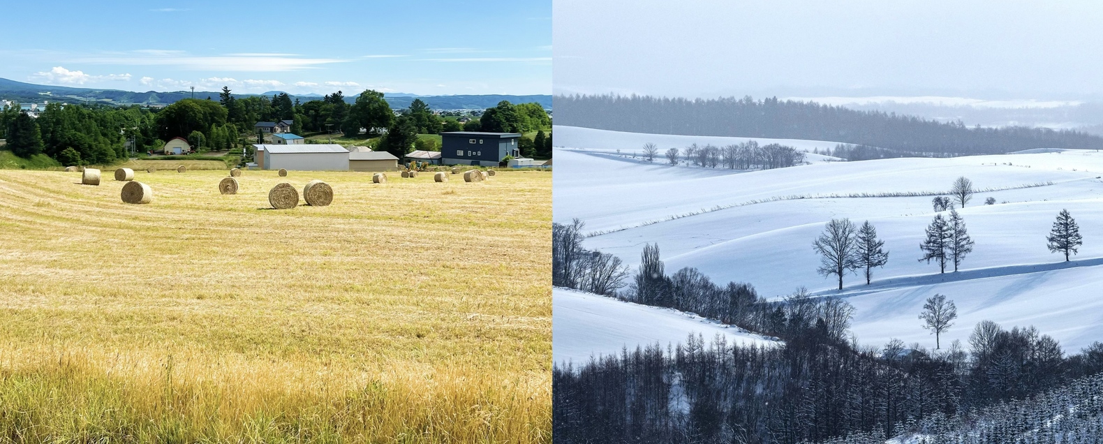 ✧⁺漫步拼布之路，體味北海道的田園風光——秋天的稻捲一捲卷鋪陳，冬天的靜謐悄然而至。