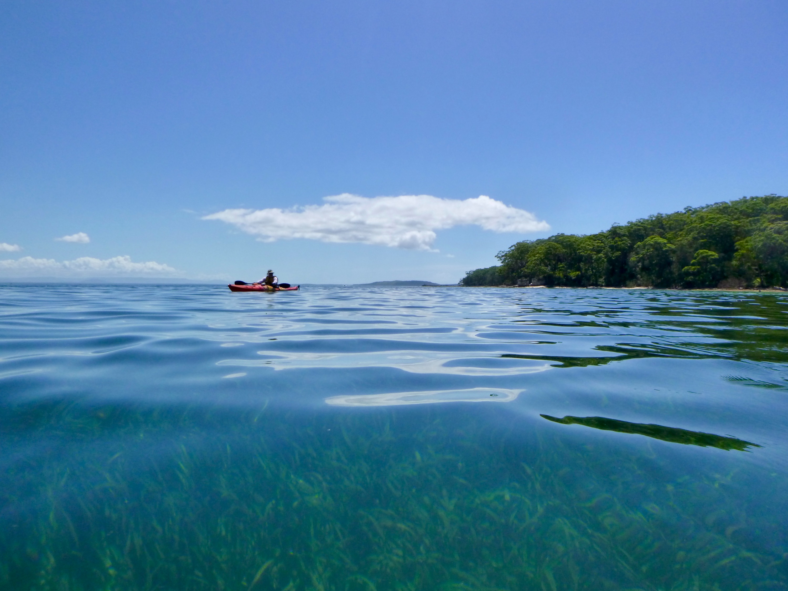 Jervis Bay Half Day Sea Kayak Tour