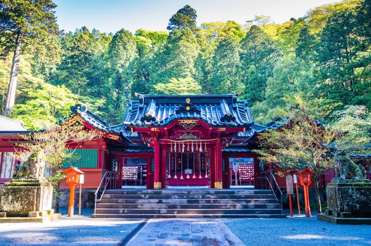 富士山箱根地區｜ 東京飯店接送｜客製化網紅打卡景點一日遊