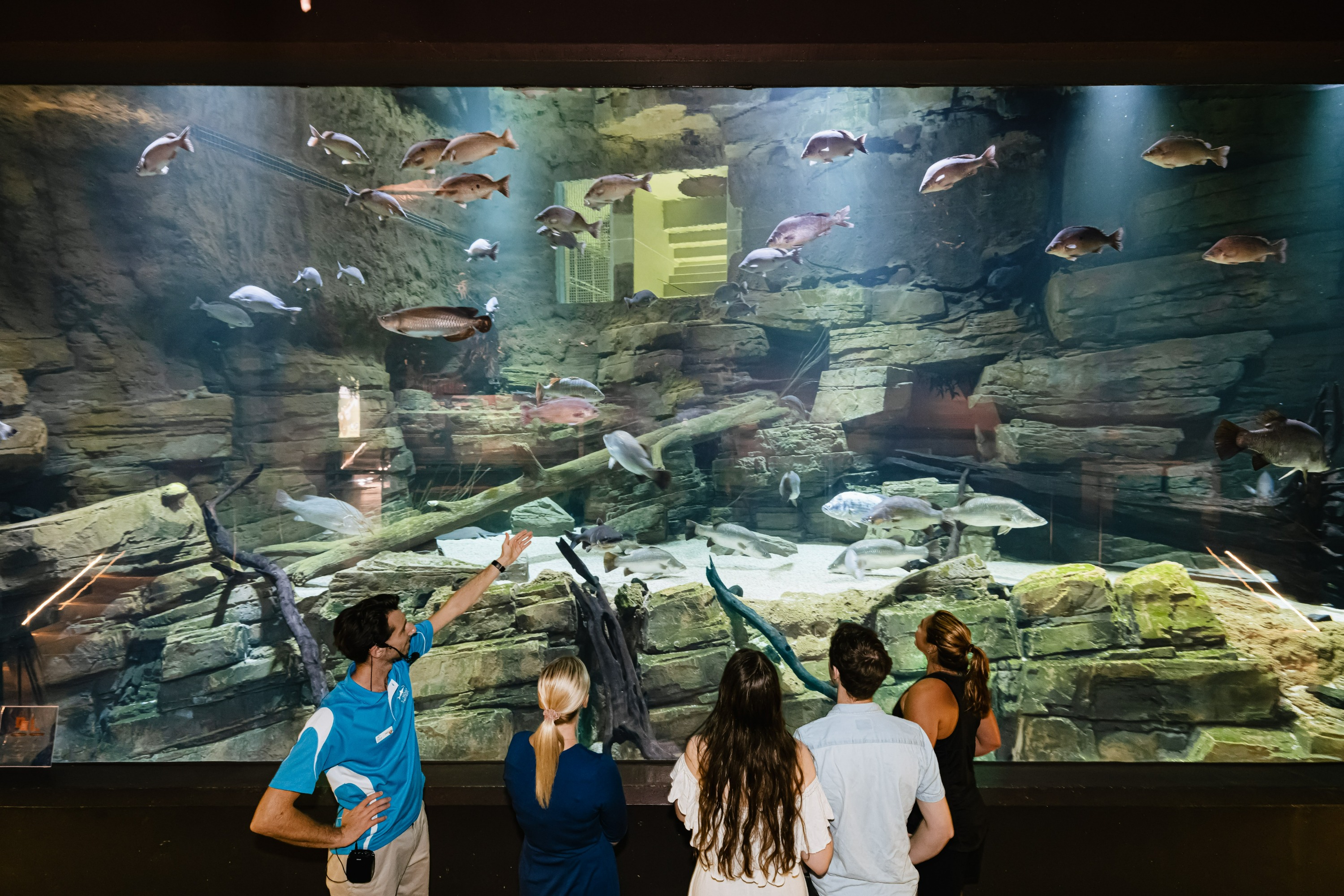 凱恩斯水族館門票
