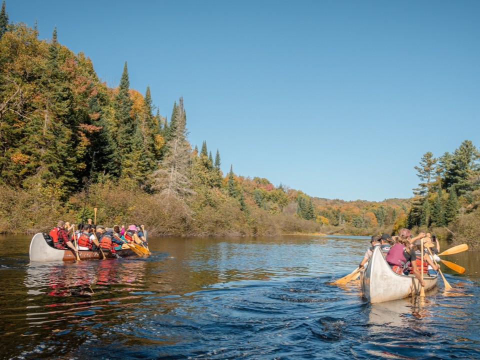 Falls & Forest Trails Algonquin Adventure in Canada