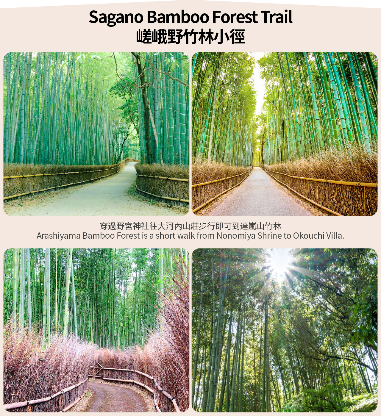 【京都&嵐山&三千院】三千院&嵐山&竹林小徑&天龍寺&渡月橋&可體驗嵯峨野小火車一日遊（大阪&京都出發）