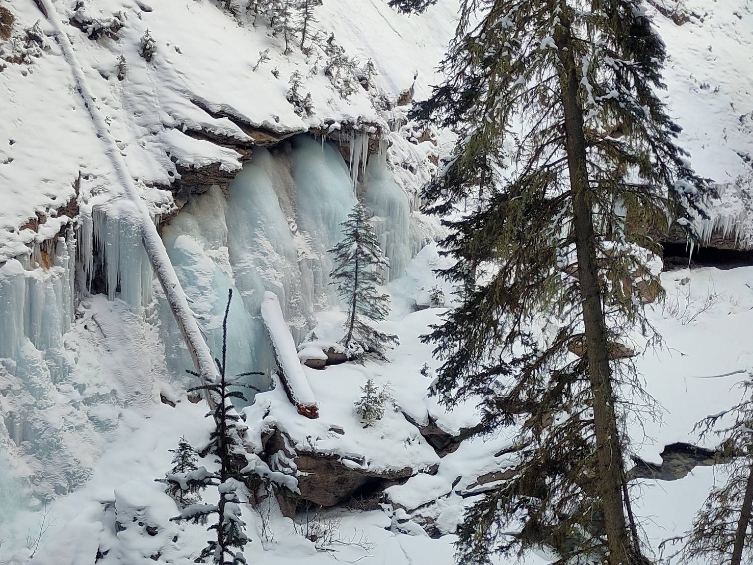 Johnston Canyon