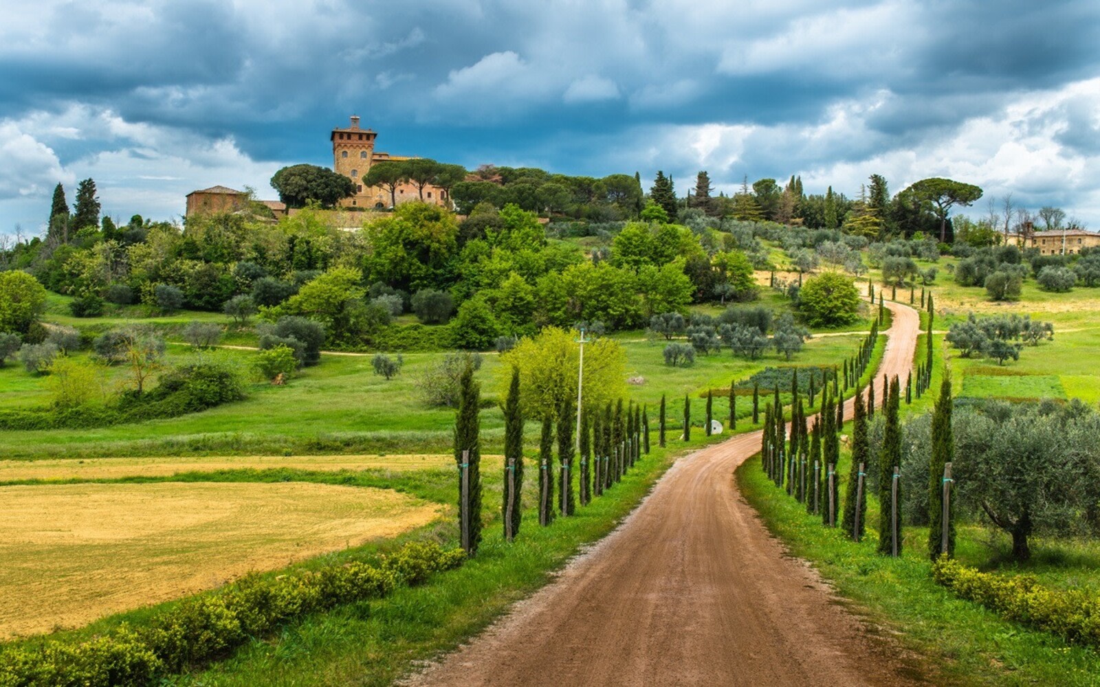 Florence to Chianti half day vineyard and wine tasting tour