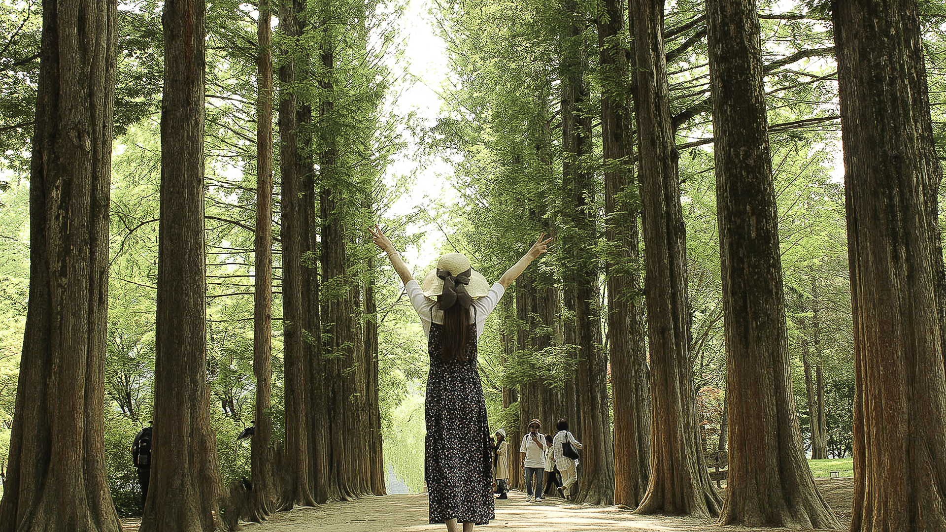 Nami Island, also known as Namiseom, is a scenic half-moon shaped island located in the Han River near Gapyeong, South Korea. Famous for its beautiful tree-lined roads and natural landscapes!