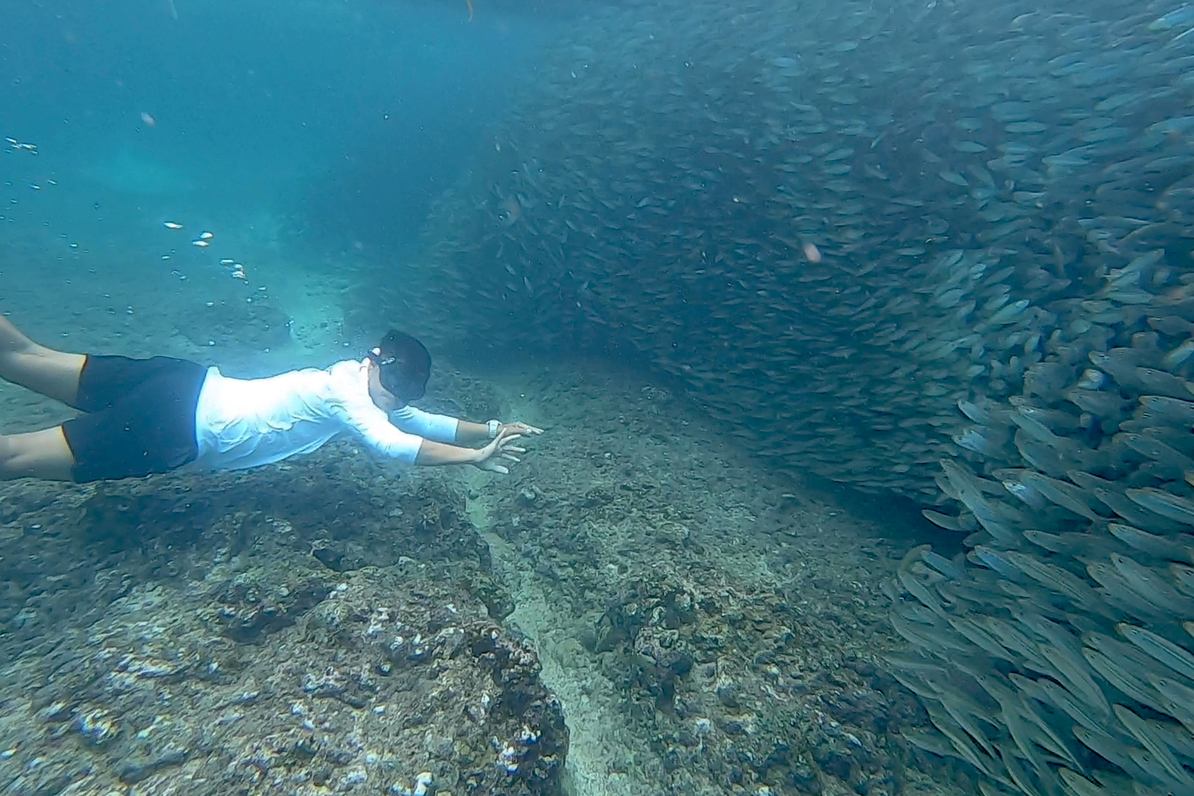 Napaling Sardines Run with Hinagdanan Cave Tour