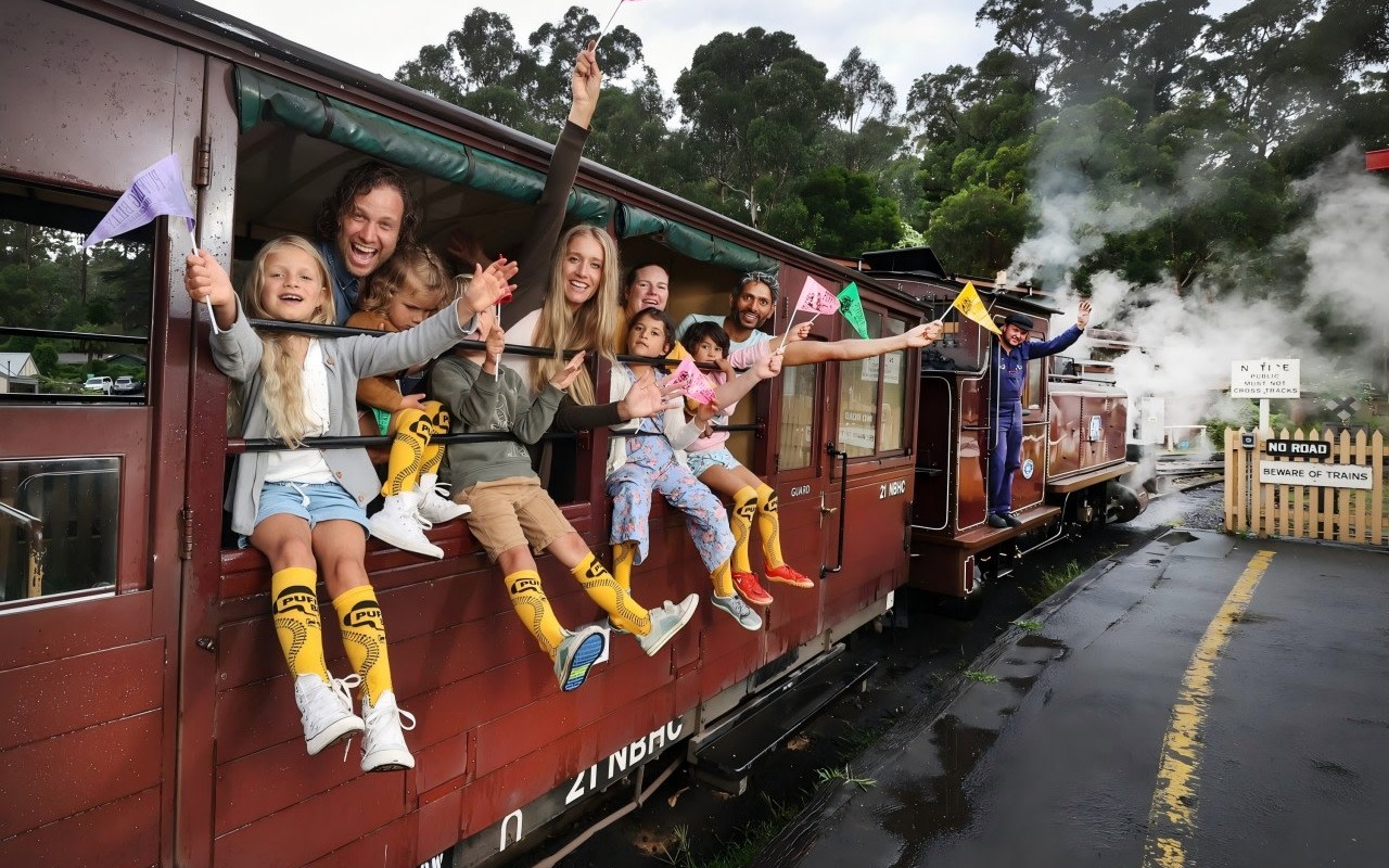 Puffing Billy Steam Train & Wildlife Park & Penguin Parade Day Tour
