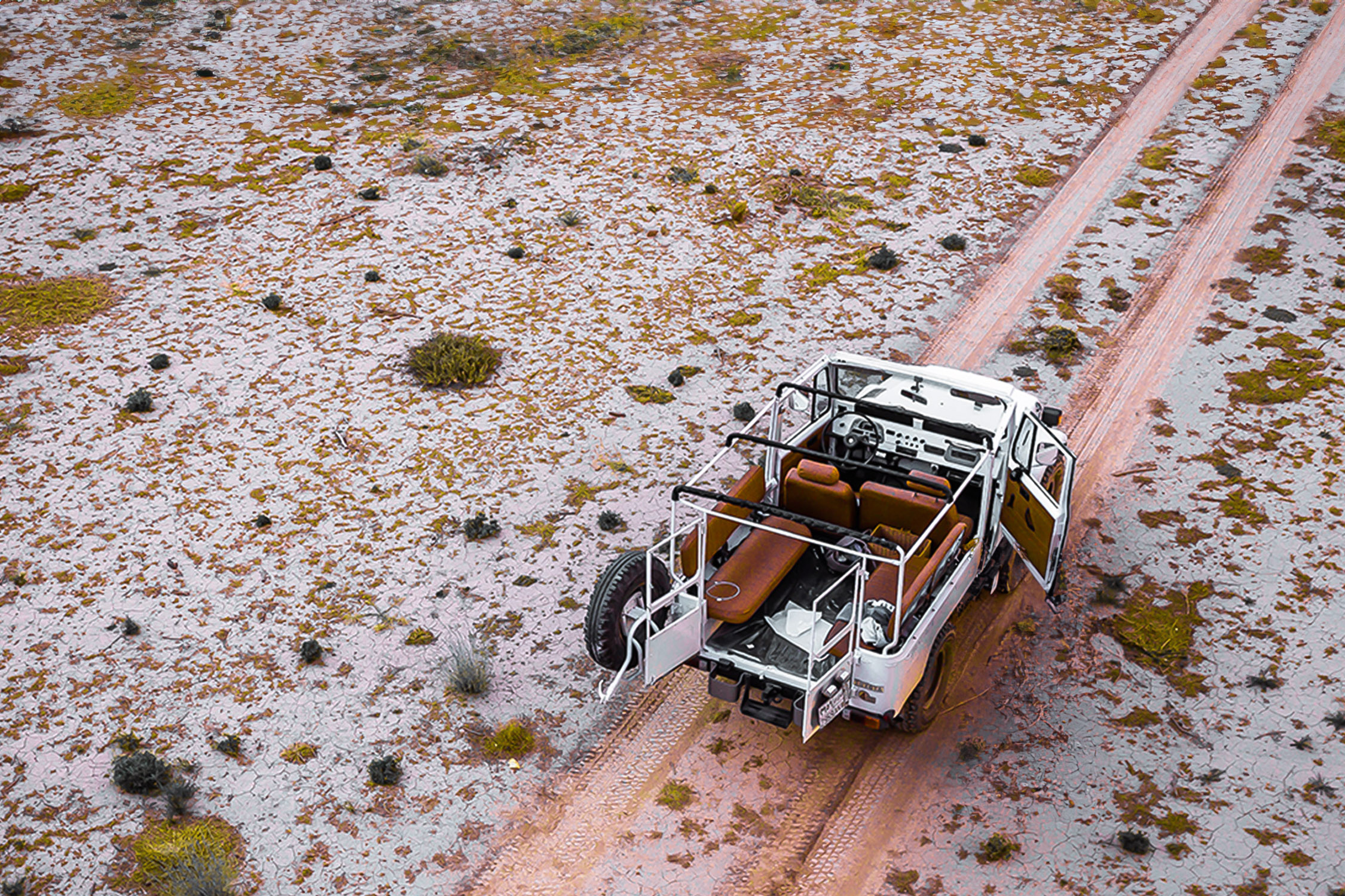 Explore the Wildlife & Nature in AlUla