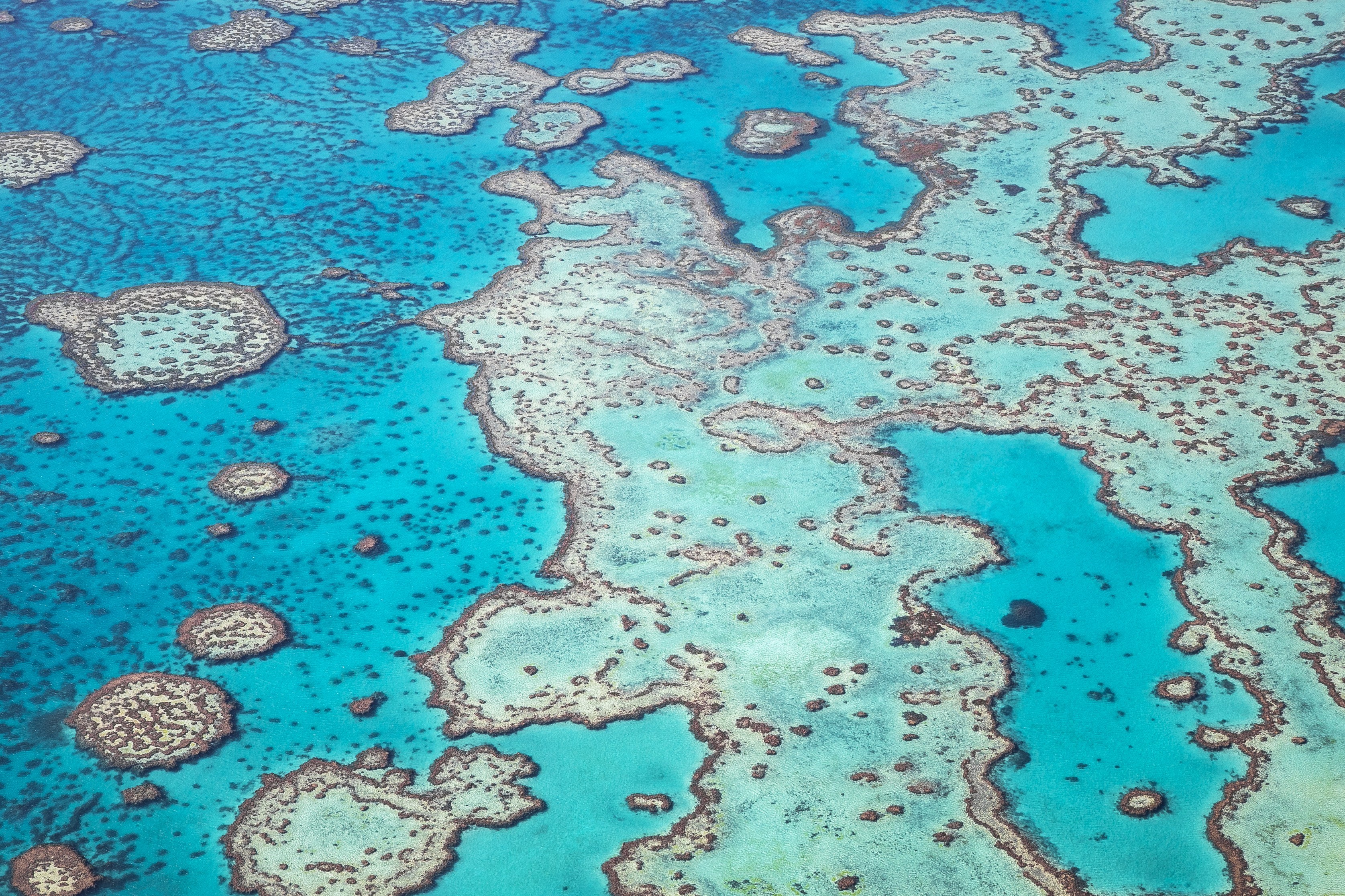 聖靈群島飛行觀光體驗（艾爾利海灘出發）