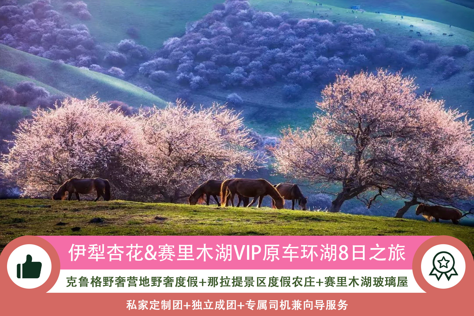 【私享定製團】新疆伊犁吐魯番杏花8日(克魯格野奢營地+那拉提度假農莊+賽里木湖VIP環湖+吐爾根杏花村+坎兒井+火焰山+喀贊其+六星街）