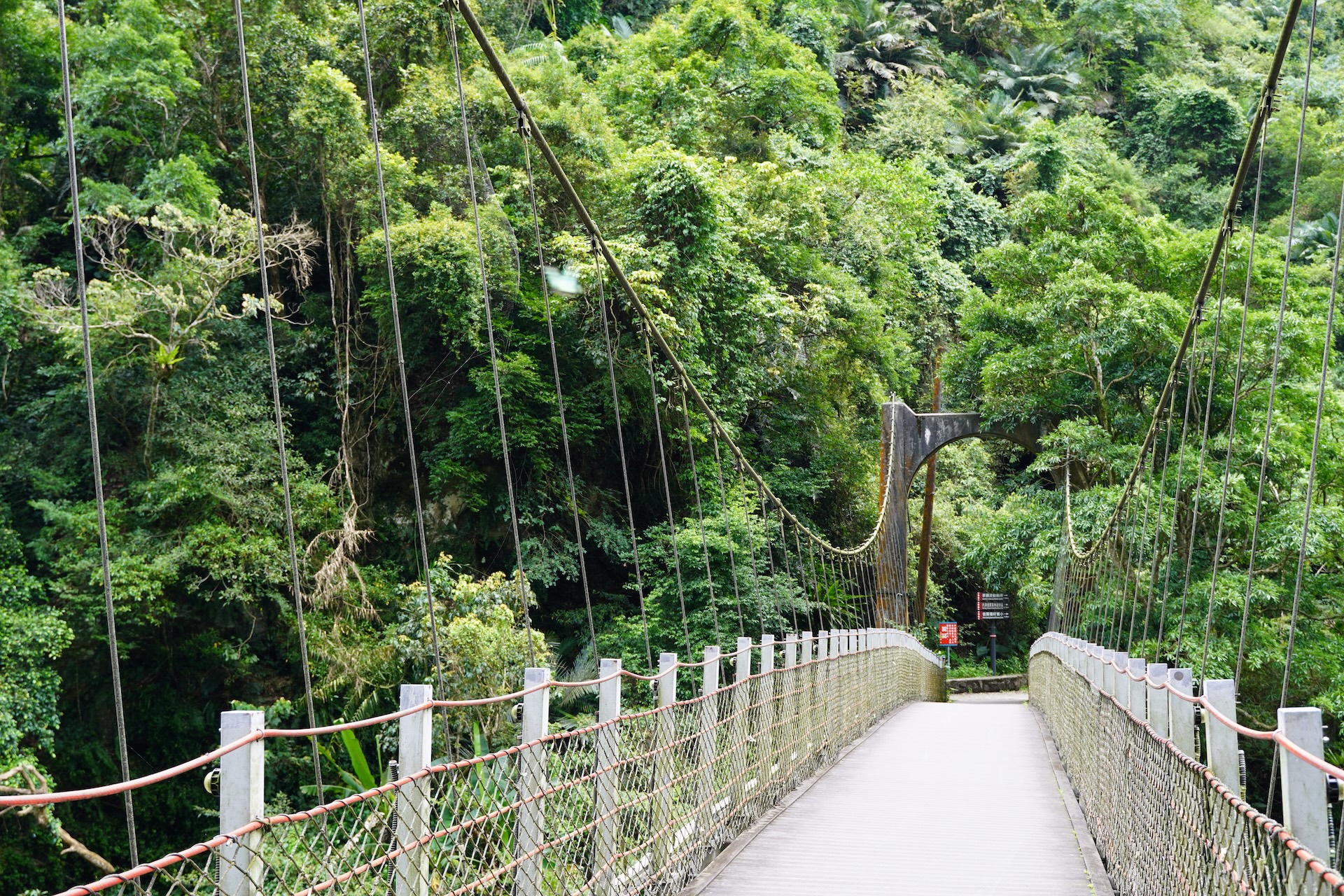 烏來雲仙樂園＆內洞國家森林公園&信賢吊橋 &烏來台車情人橋＆烏來老街一日遊