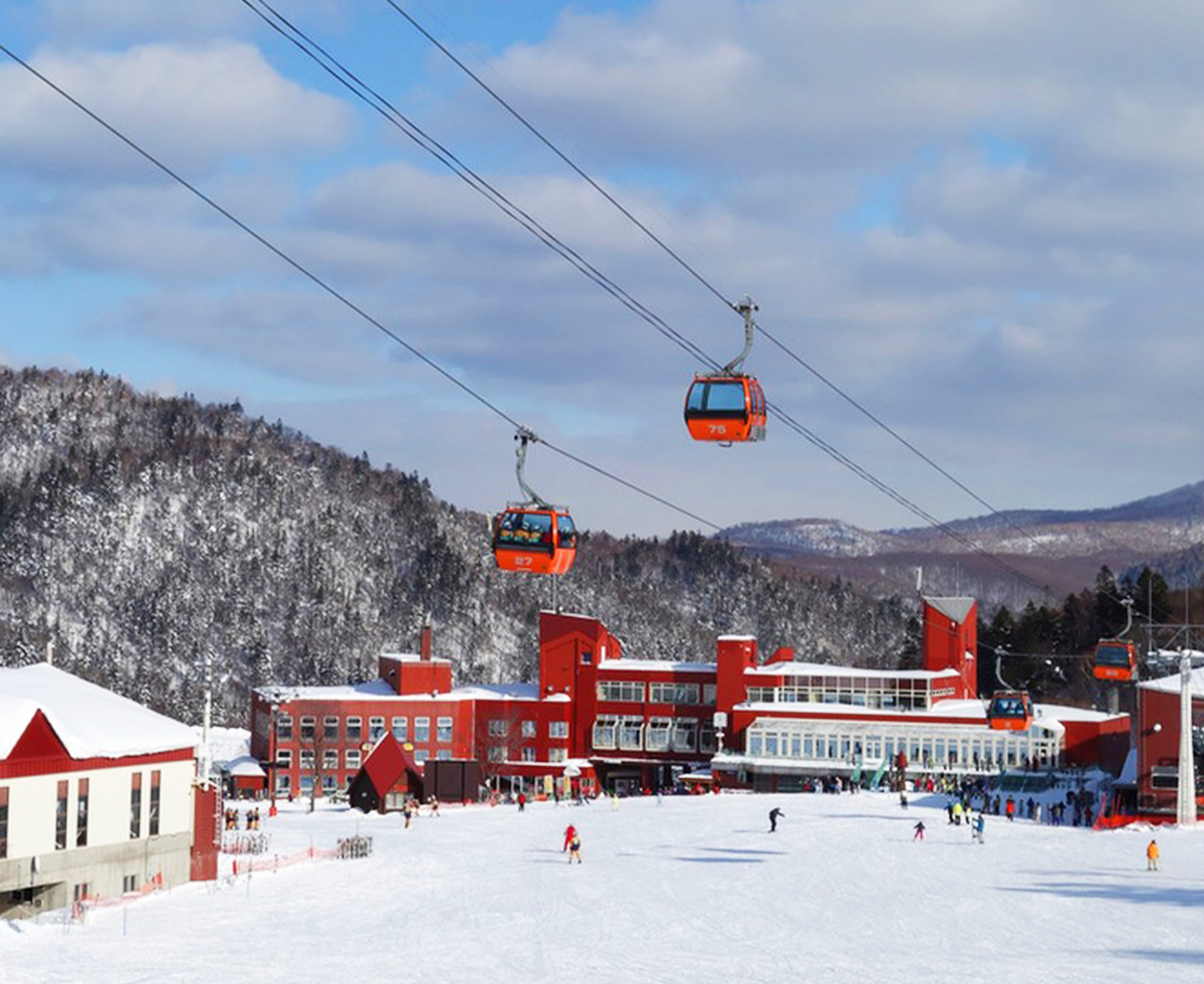北海道札幌小樽觀光札幌國際滑雪場/玩雪一日遊/適合初學者和中高階滑雪者/多套餐選擇｜札幌出發