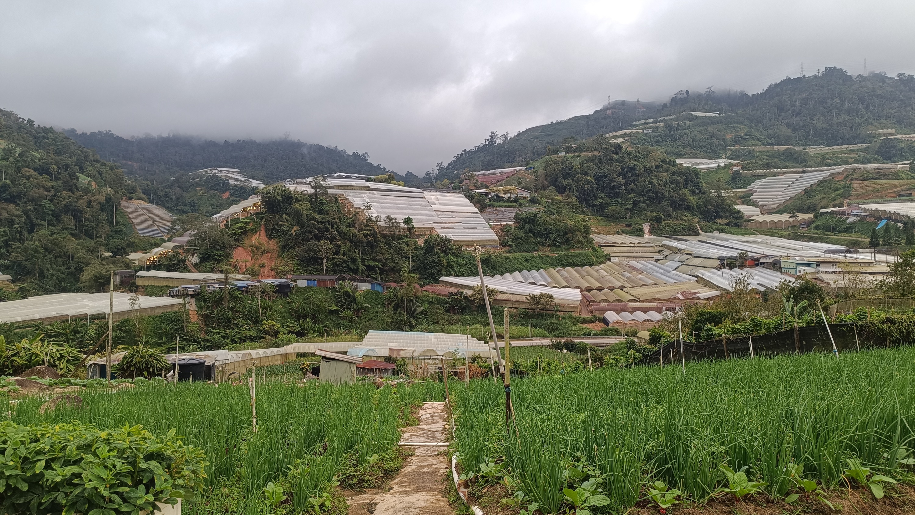 金马仑高原吉姆菜园门票