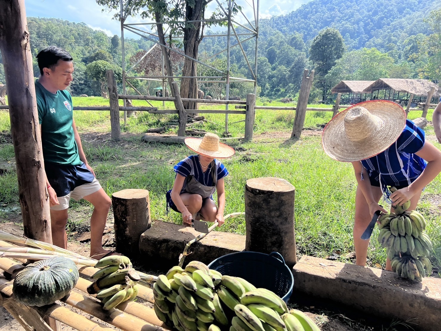 Preparing food for elephants before feeding.