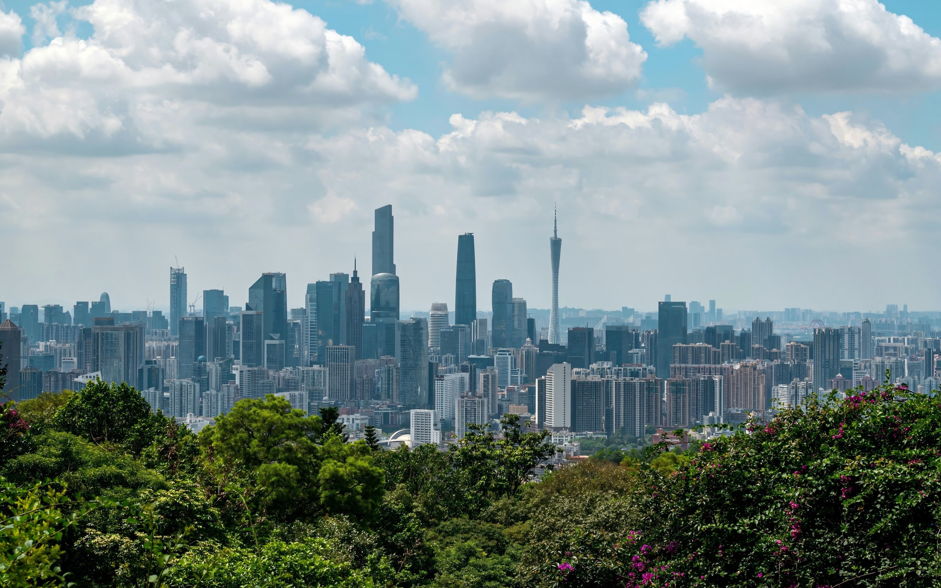 Guangzhou Layover Private Day Tour: Visa-Free Introductory Tour of the City of Goats