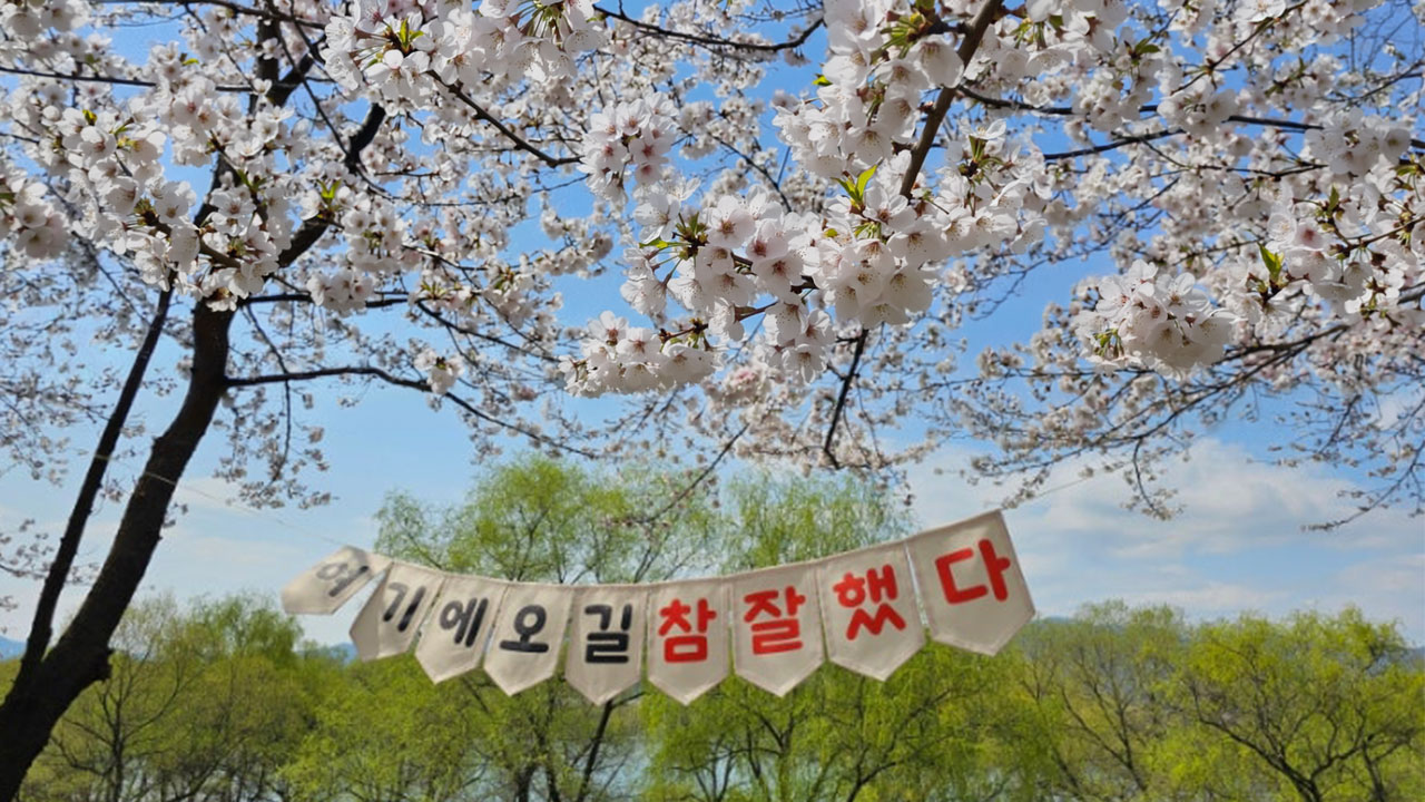 最適合悠閒漫步，捕捉春日美景。