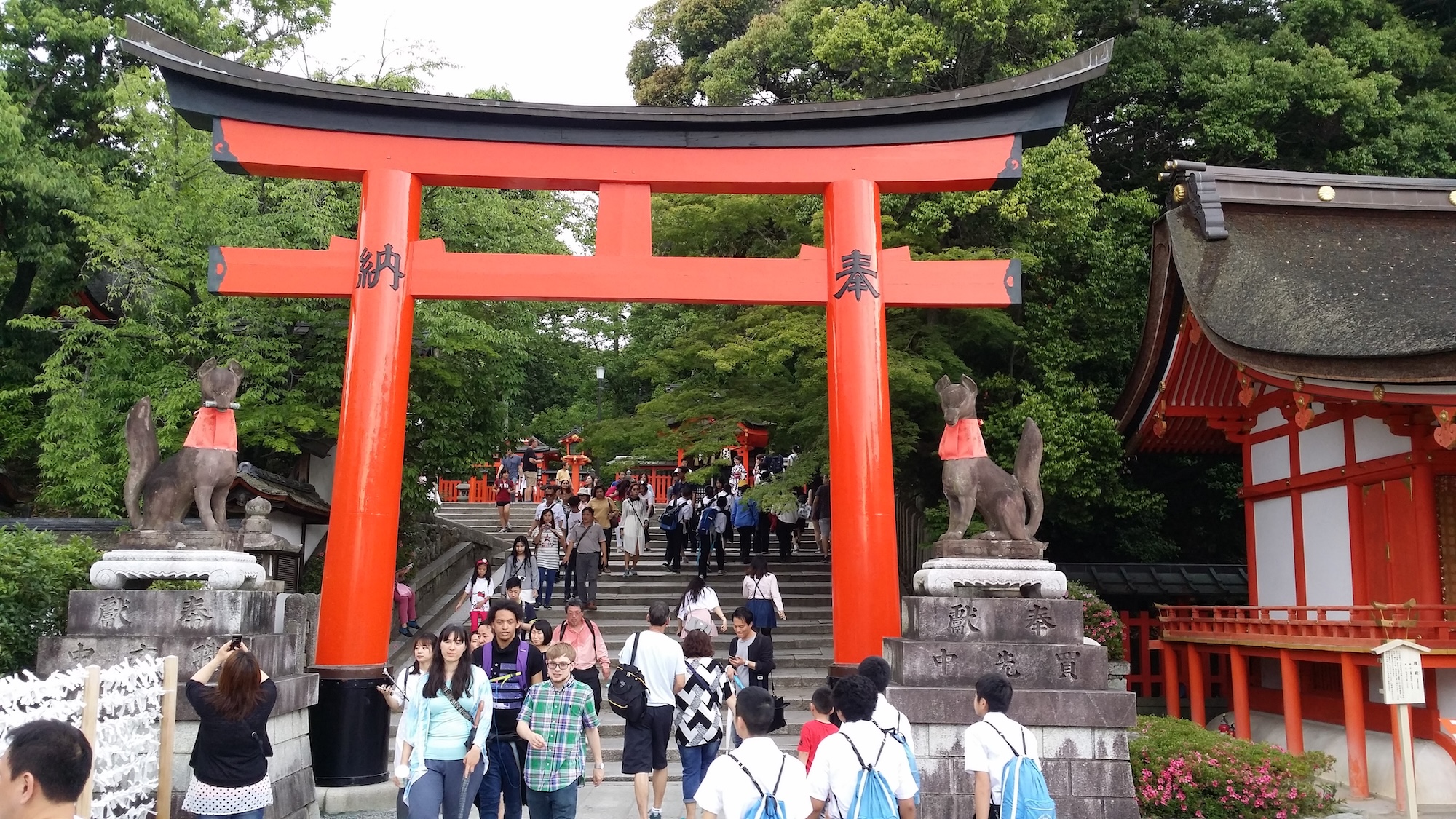 Kyoto: Immersive Arashiyama and Fushimi Inari by private vehicle