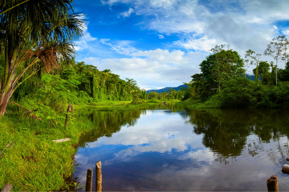 Manu Jungle Tour 5 Days