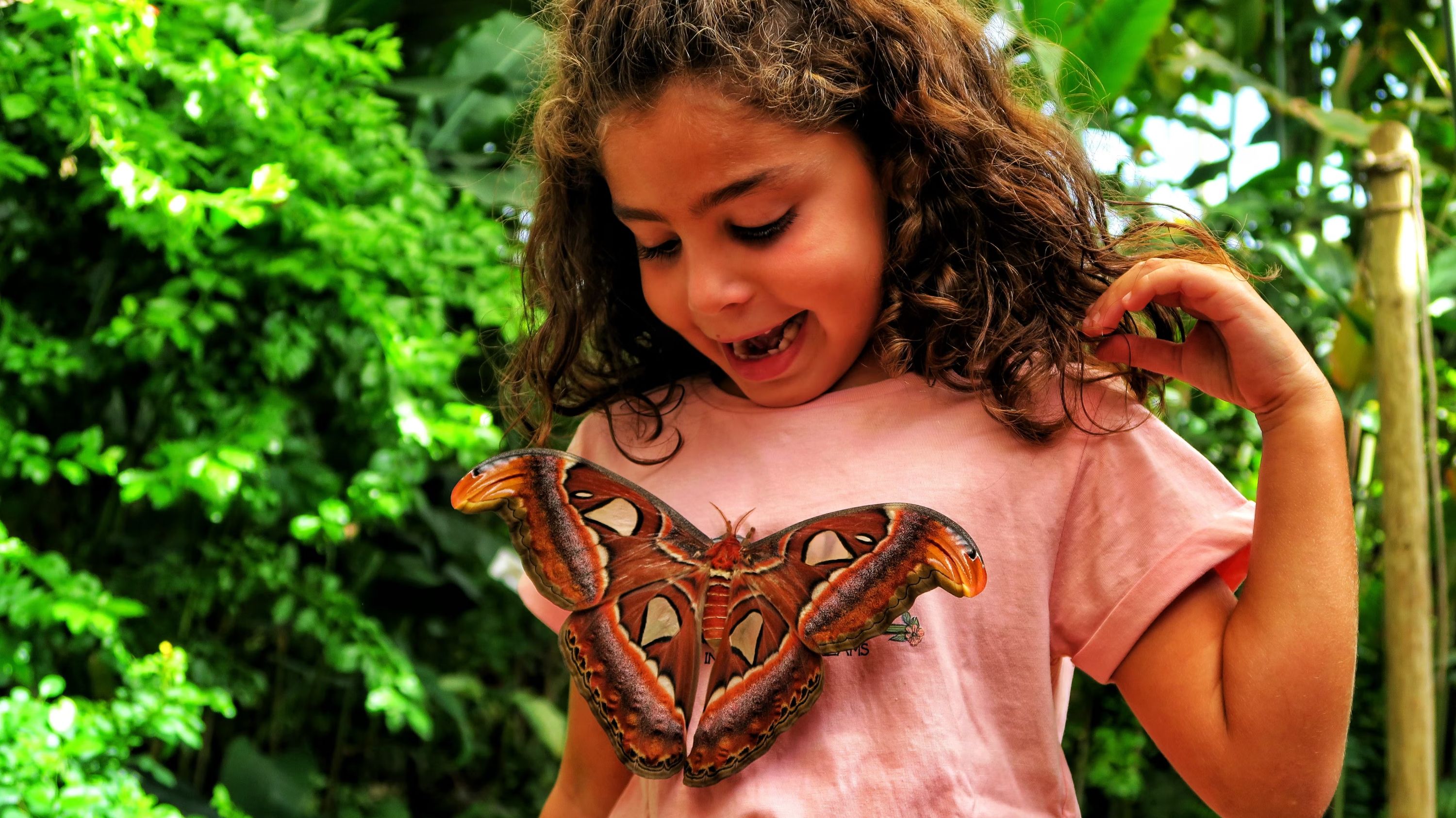 在西班牙最大的蝴蝶公園之一，與蝴蝶合影，捕捉驚豔瞬間