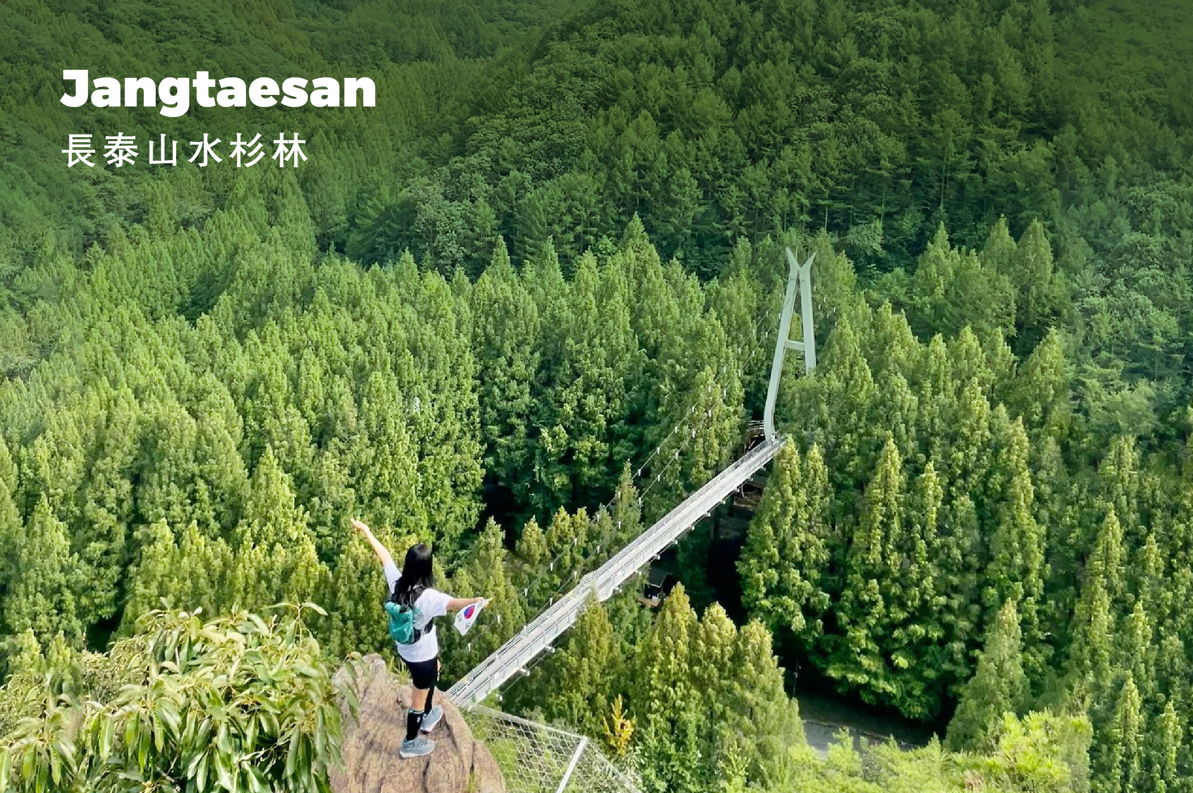 全州韓屋村＆季節性熱門景點一日遊