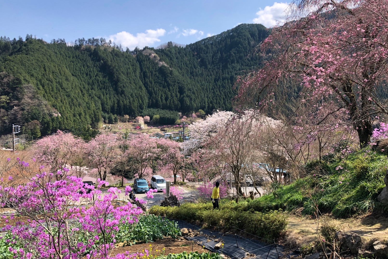 東京：騎行和溪降探險
