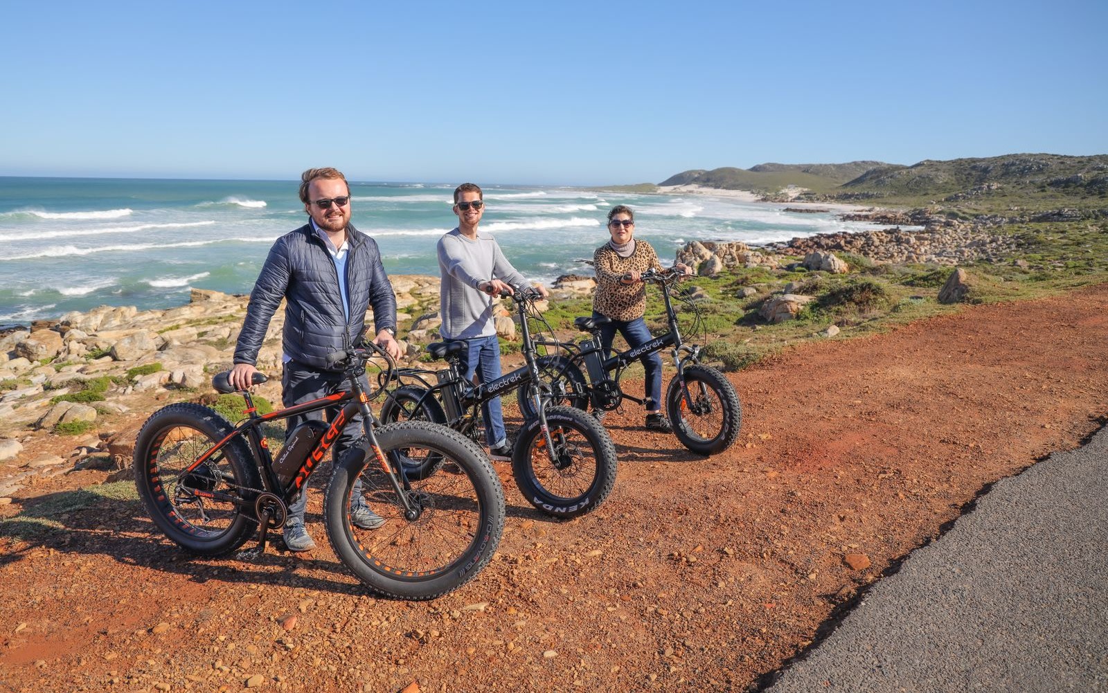 Cape Town Cape Point Full-Day E-Bike Adventure with Penguins