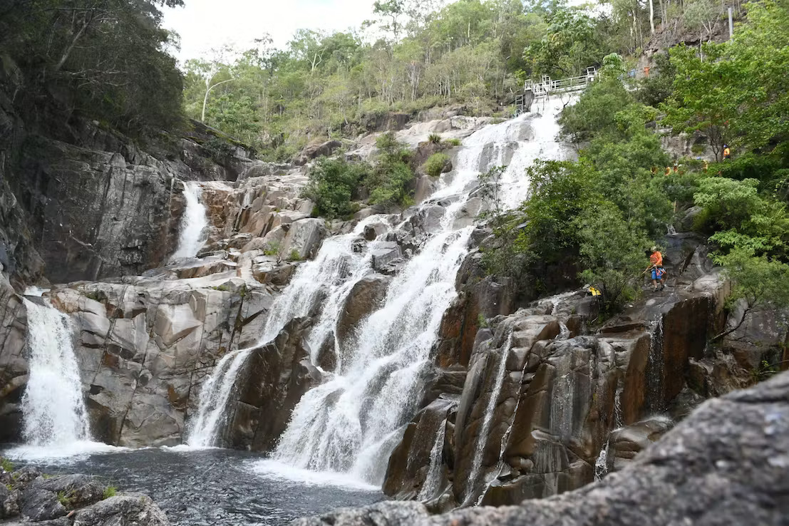 Cairns Waterfalls Rainforest Experience