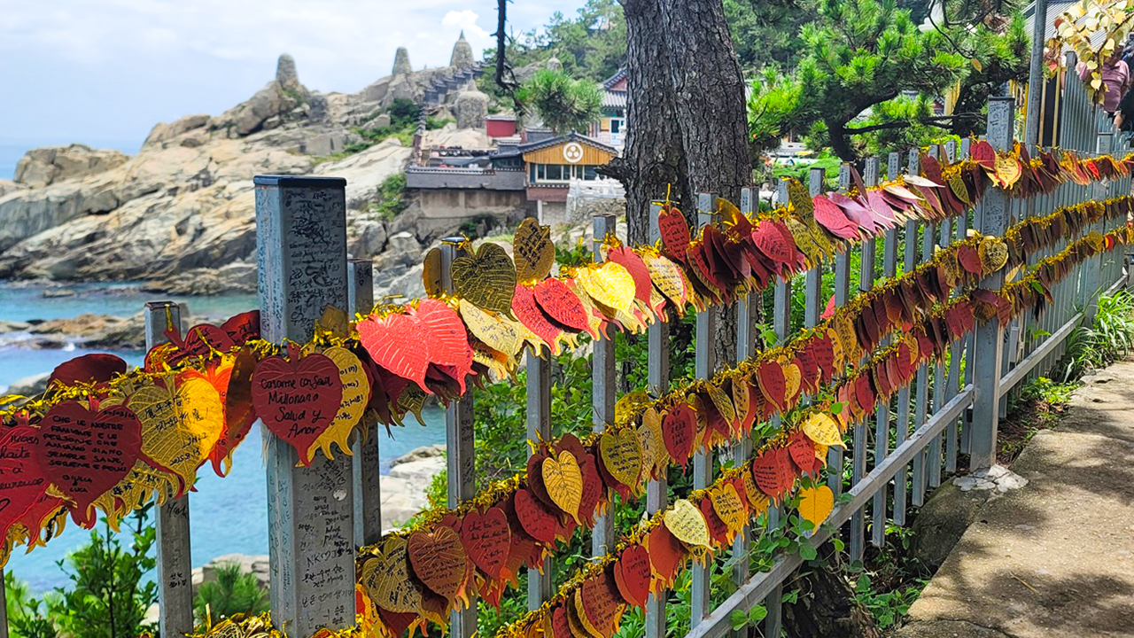 寫下你的願望並掛在這裡——傳說中，至少一個真誠的願望將會實現。