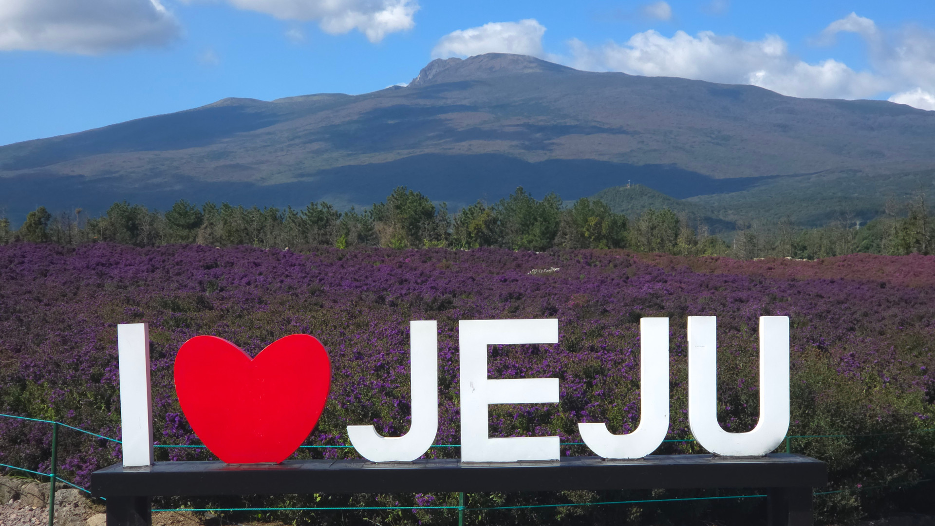 East Jeju Premium Limousine Bus Tour