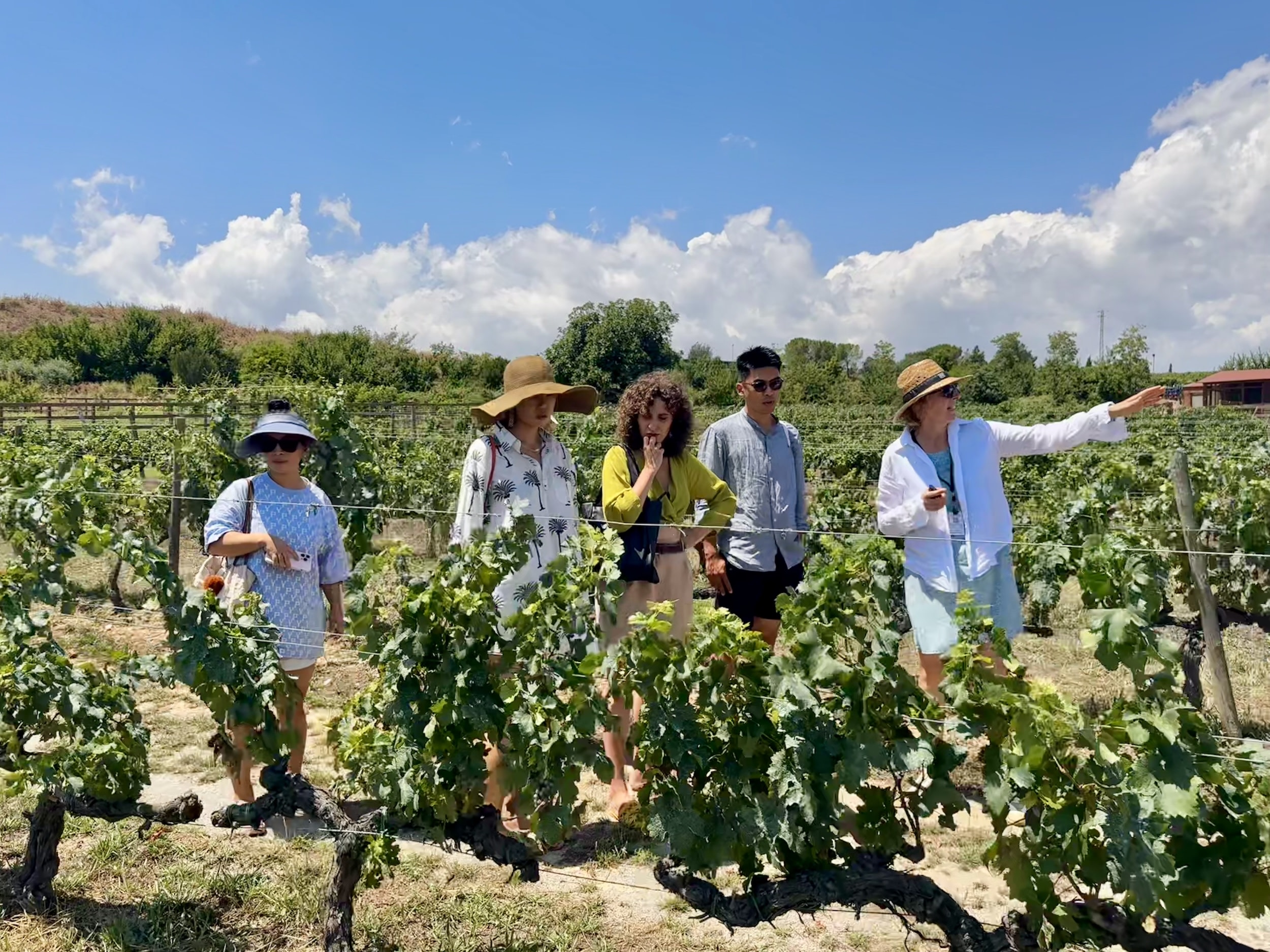 Barcelona Torres Winery Half-Day Small Group Tour