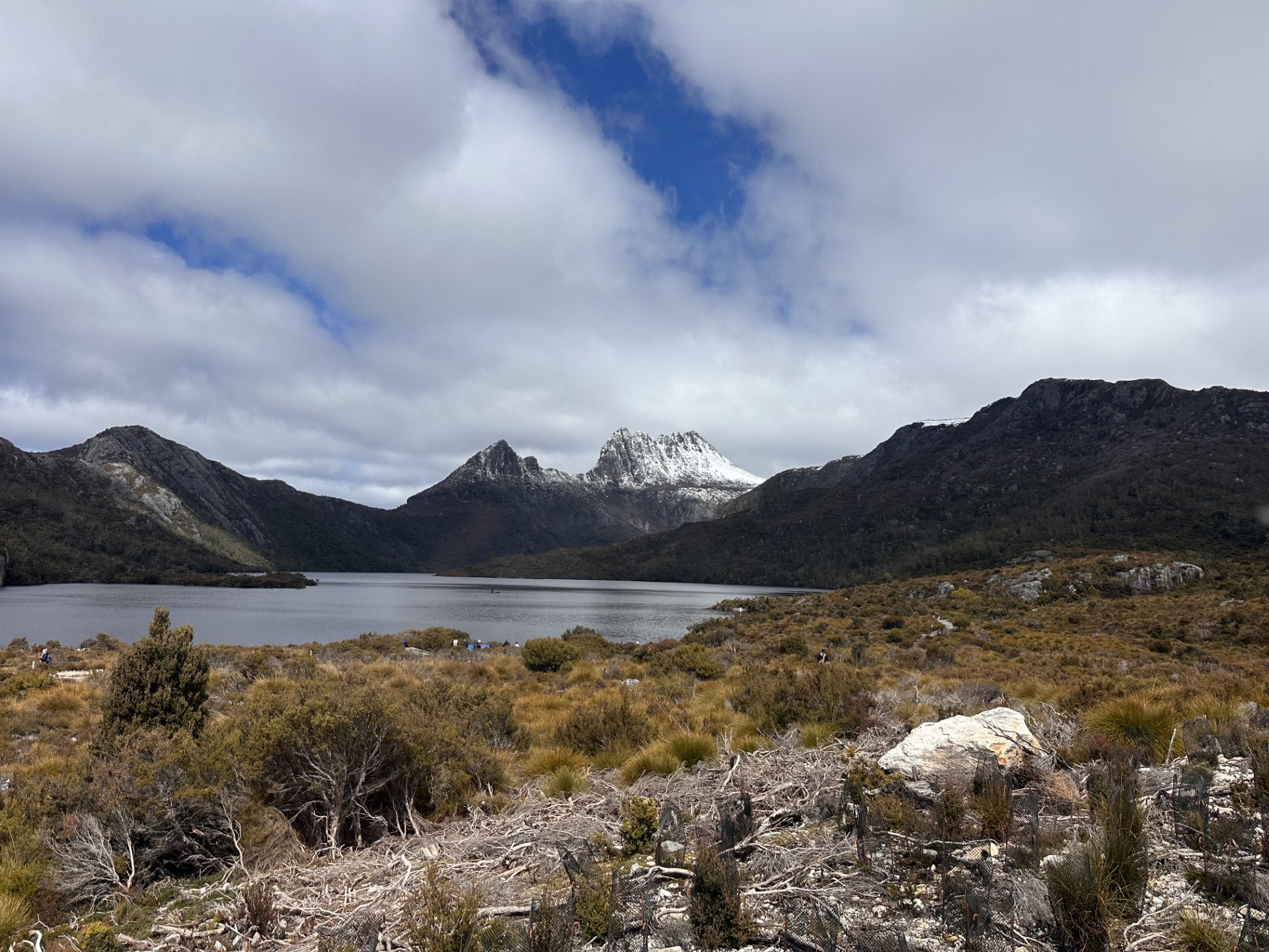 Cradle Mountain Fully Guided Day Tour Departing Launceston
