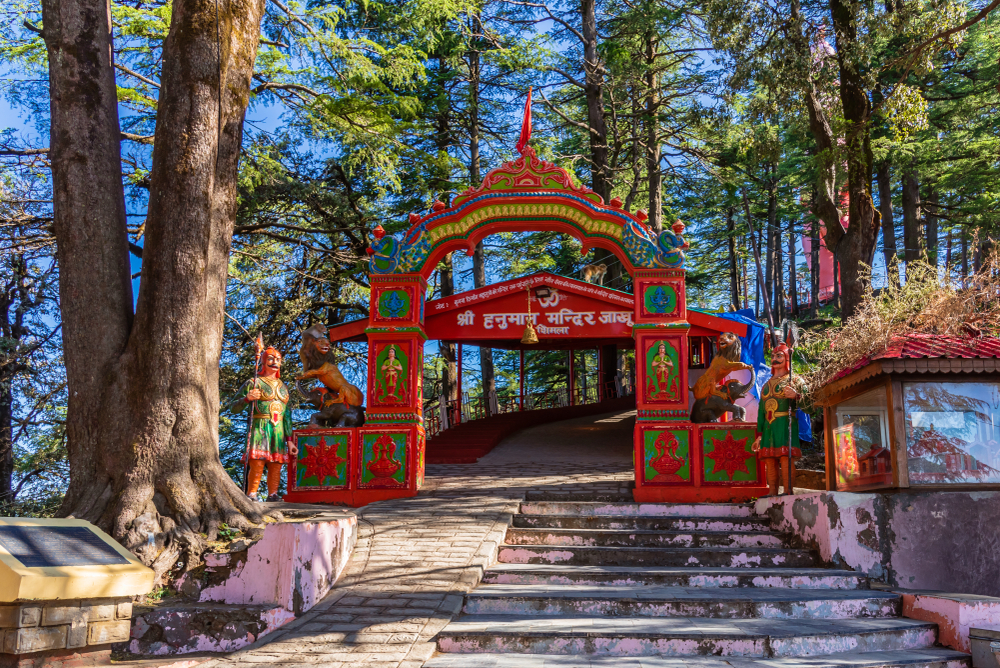 Shimla Nature Trail (3 Hours Guided Walking Experience with a Local)