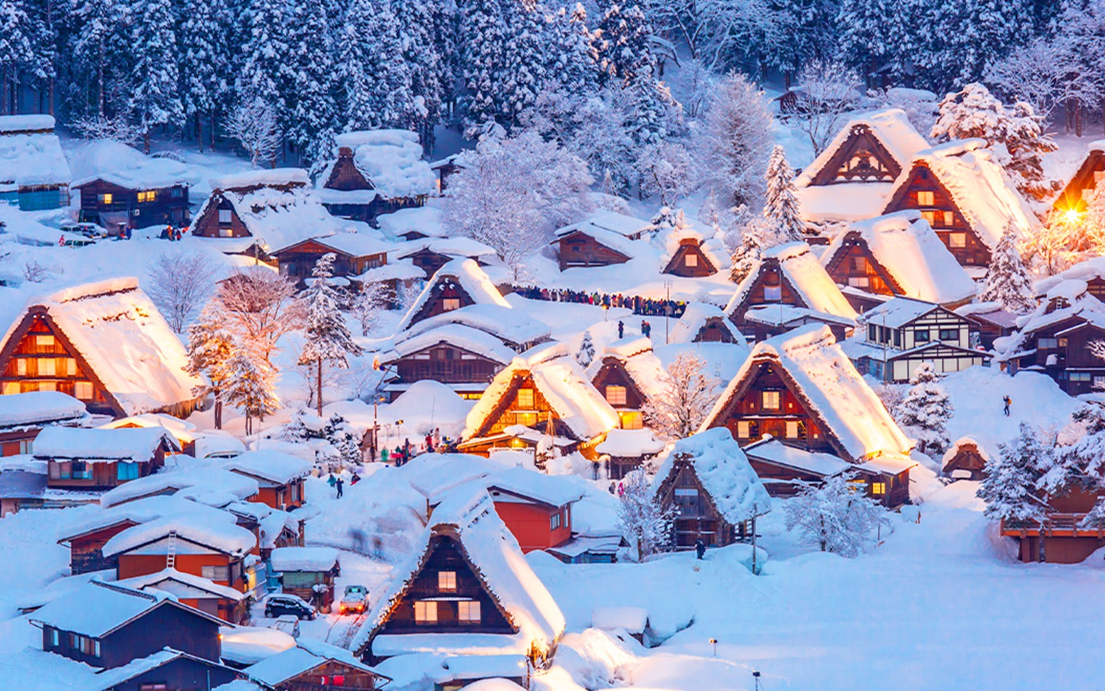 Shirakawa-go Gassho Village & Hida Takayama Day Trip with optional Shirakawa-go Observatory visit (Departure from Nagoya)