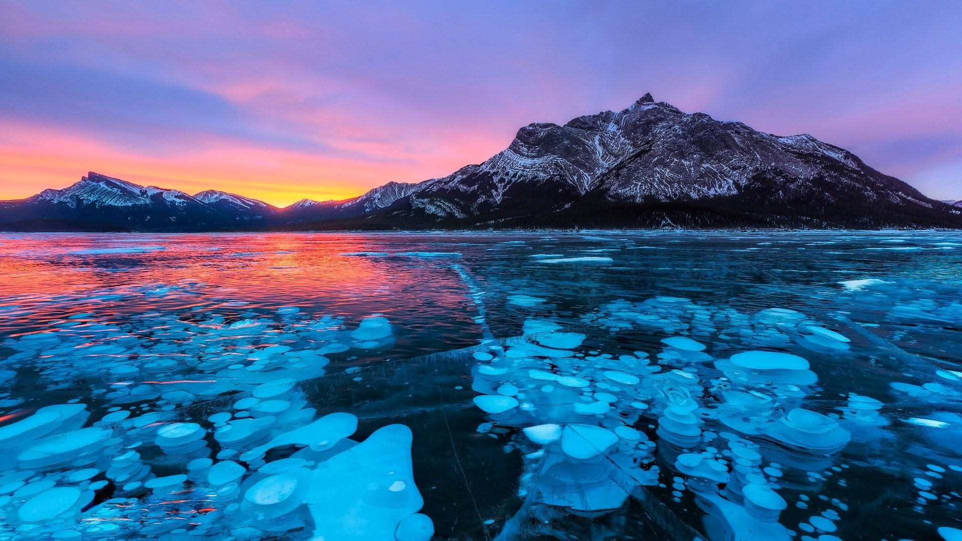 佩託湖和亞伯拉罕湖冰泡之旅 (Peyto Lake & Ice Bubbles at Abraham Lake Frozen Journey)