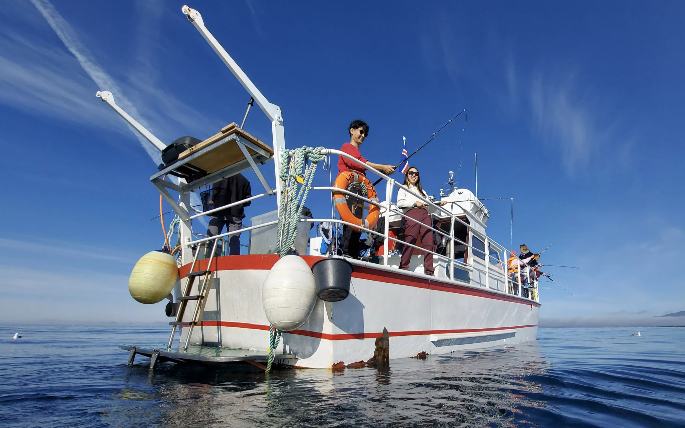 Sea angling gourmet experience in Reykjavik 