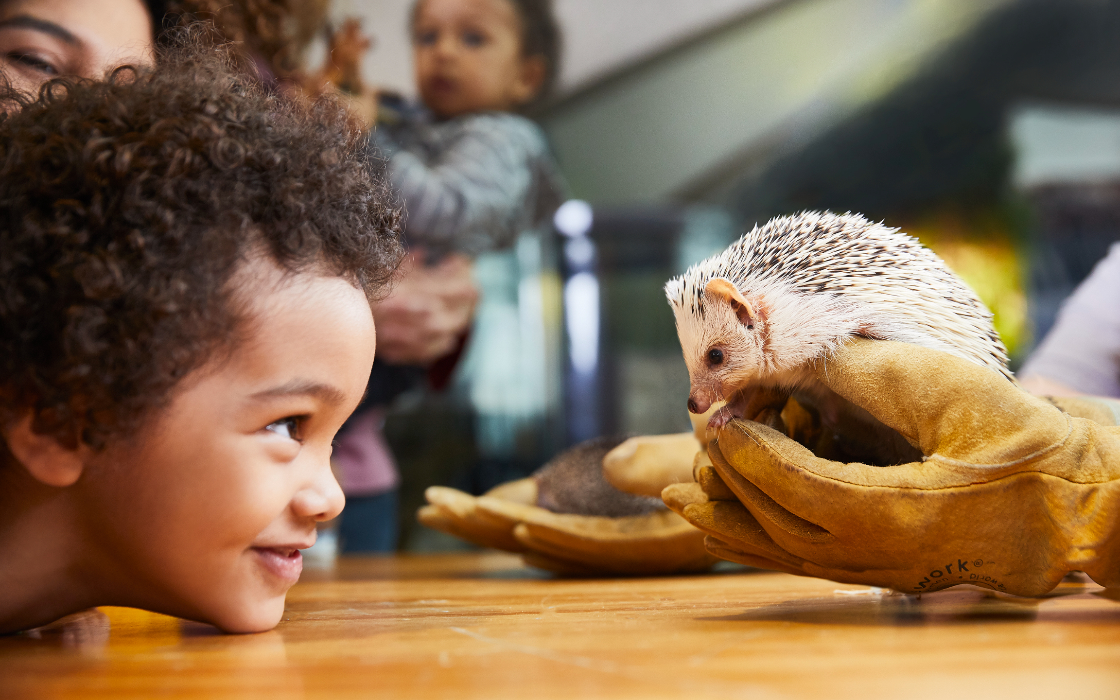 在這裡探索動手操作的展品、尖端科技,以及適合所有年齡層的趣味學習體驗。 在這裡探索動手操作的展品、尖端科技,以及適合所有年齡層的趣味學習體驗。
