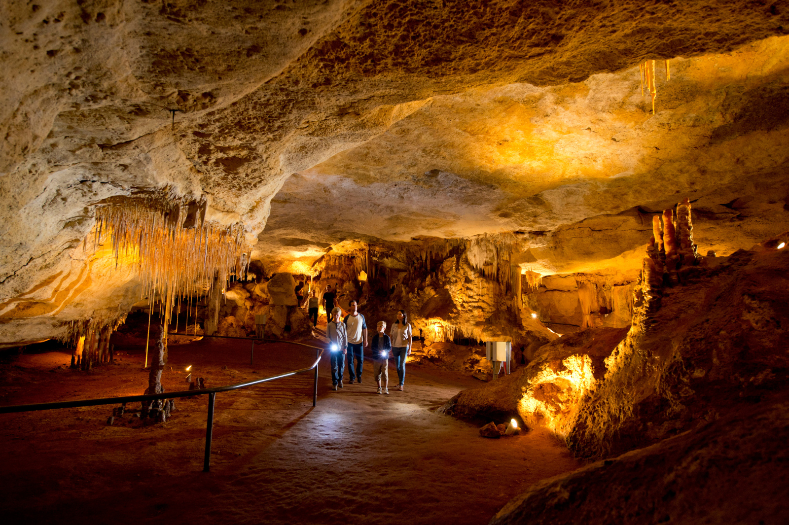 Caves, Cabernet and Kangaroos Full Day Tour