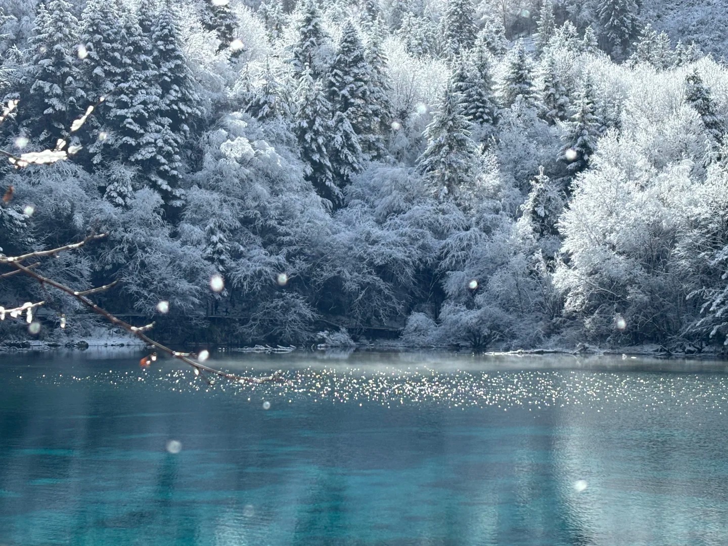 站在湖畔看雪,林梢裹滿絨白,藍水盛著碎雪的光,風一吹,連落雪都成了溫柔的註腳。 站在湖畔看雪,林梢裹滿絨白,藍水盛著碎雪的光,風一吹,連落雪都成了溫柔的註腳。