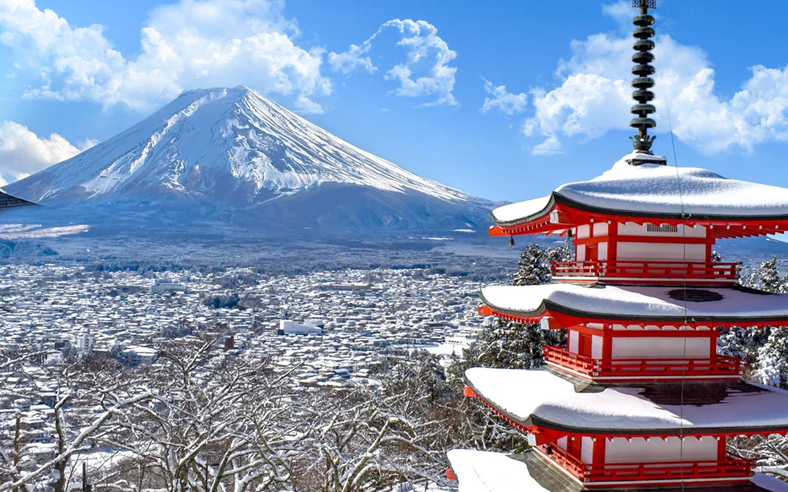 Tokyo Fuji Mountain and Kawaguchiko Lake All-Day Guided Sightseeing Tour