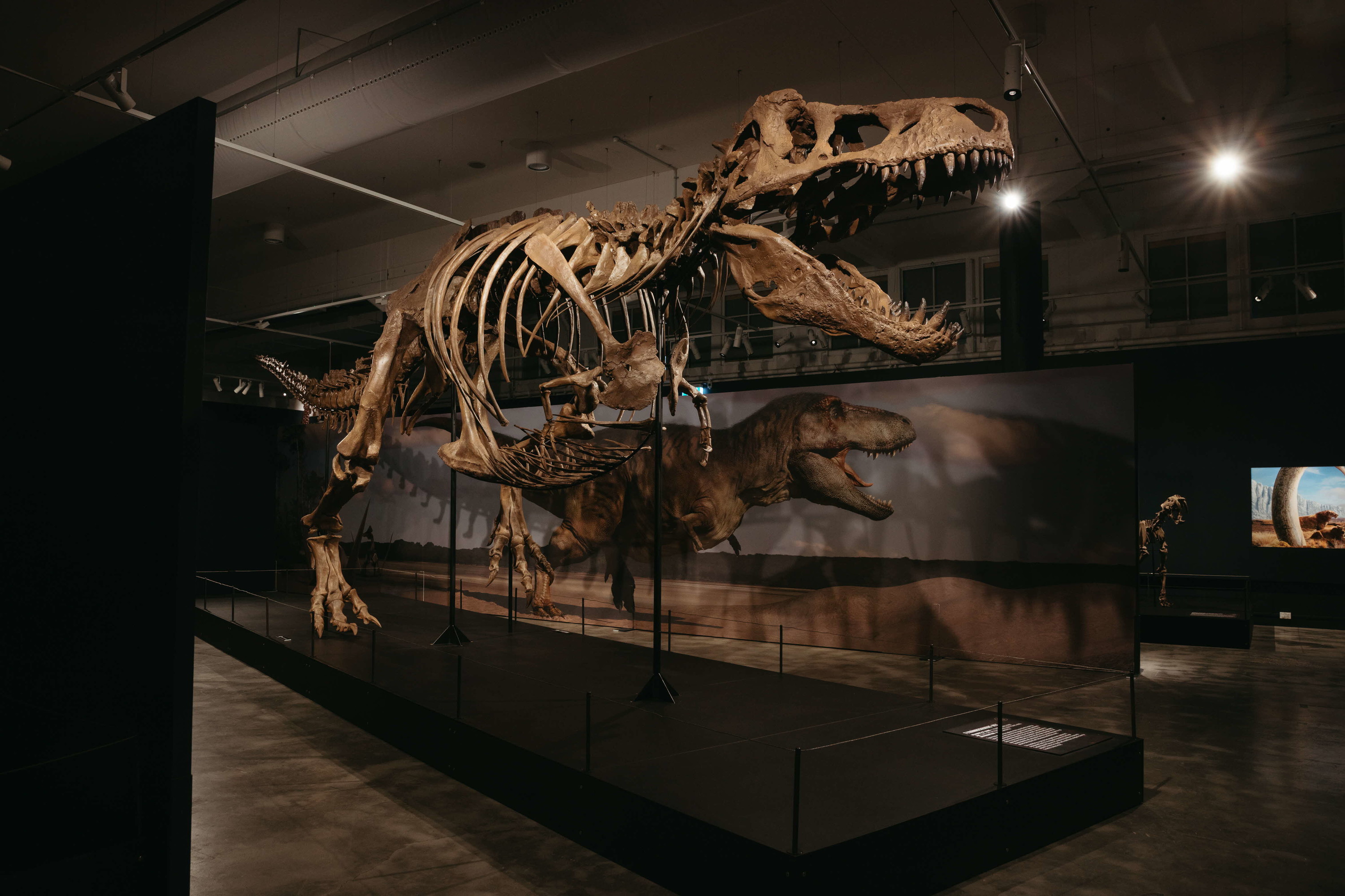 Science Centre Dinosaurs | Extinctions | Us Exhibition