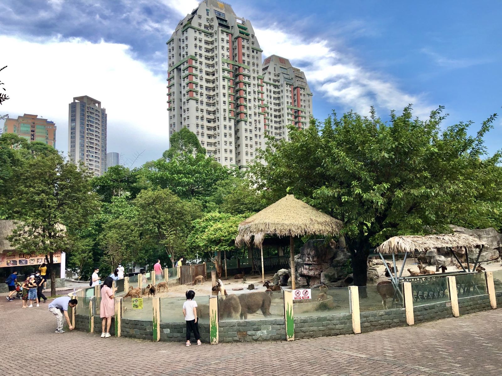 包車遊覽 廣州動物園&珠江新城一日遊