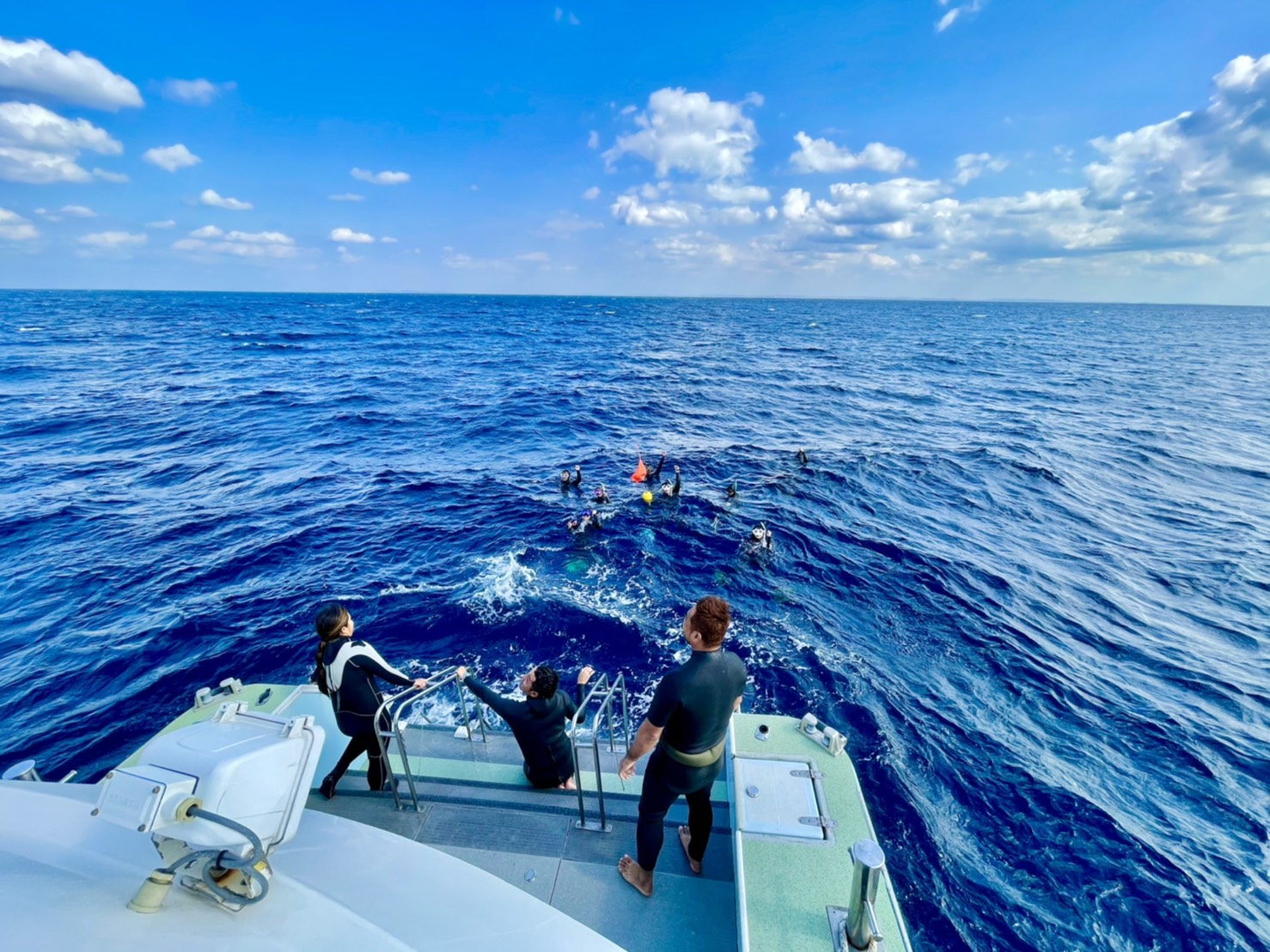 慶良間諸島クジラと泳ぐシュノーケリング体験（沖縄）