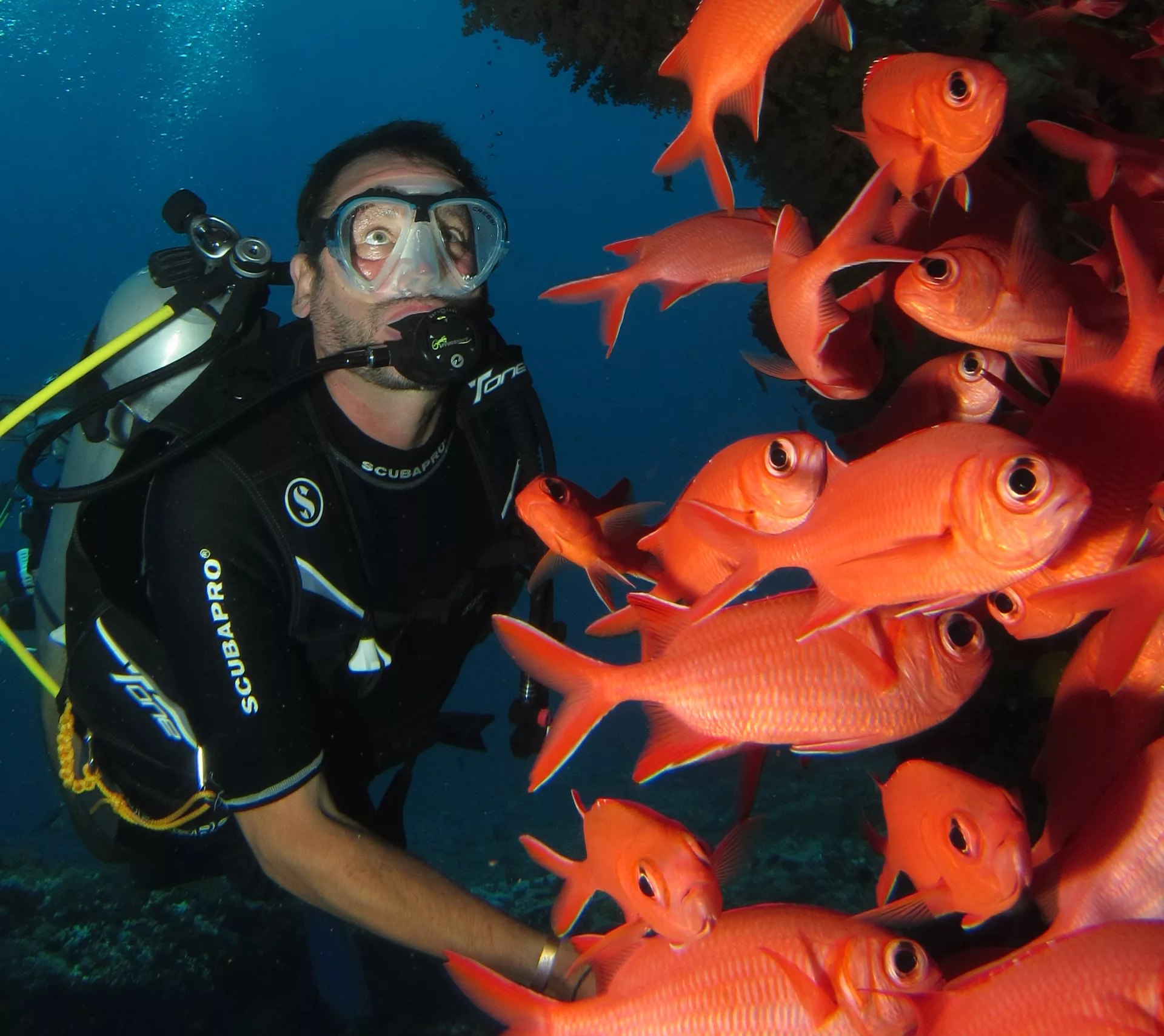深入探索珀尼達島的奇觀，每一次下潛都會揭開巴厘島壯麗海底世界故事的新篇章
